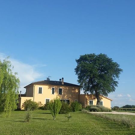 B&B Le Rose Spello Exterior photo