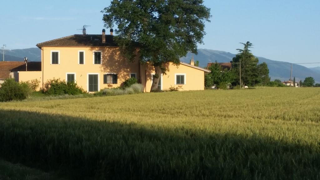 B&B Le Rose Spello Exterior photo
